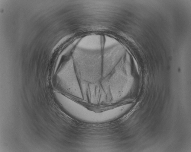 X0000061111306200512161403