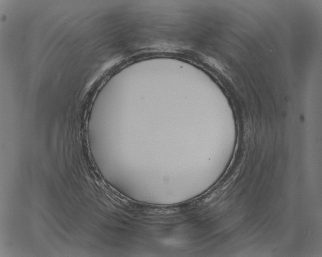 X0000061111307200512161403