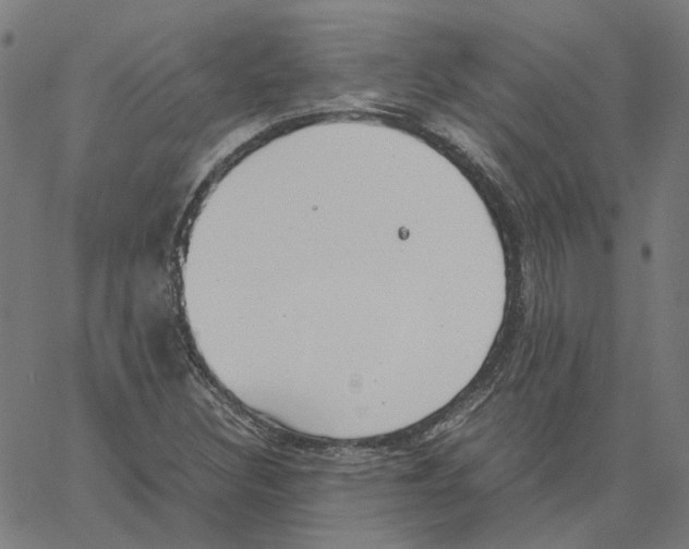 X0000061111308200512161403