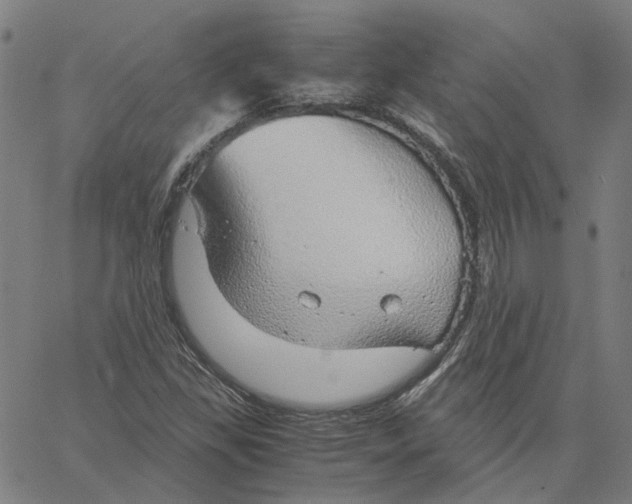 X0000061111309200512161403