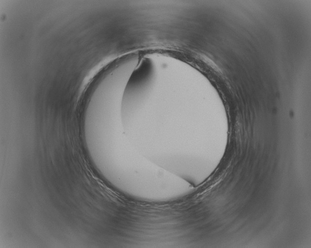 X0000061111310200512161403