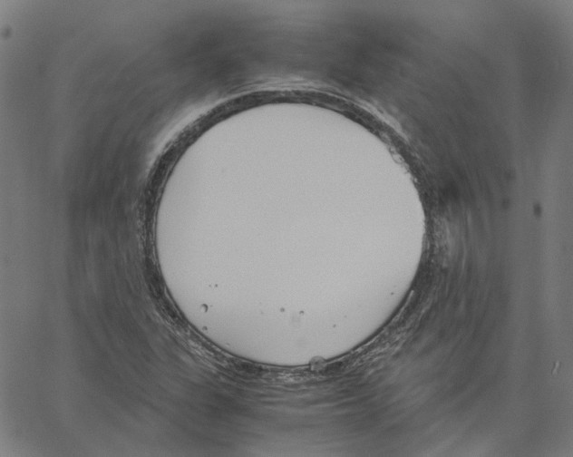 X0000061111311200512161403