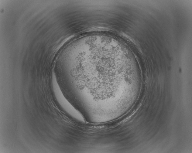 X0000061111313200512161403