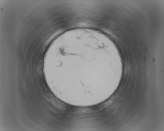 X0000061111314200512161403