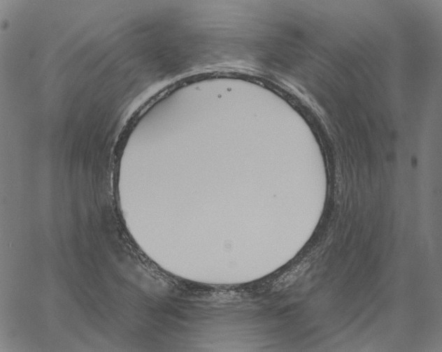 X0000061111316200512161403