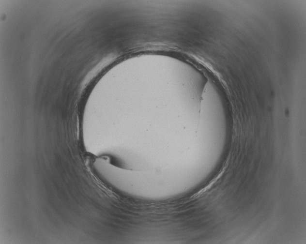 X0000061111317200512161403