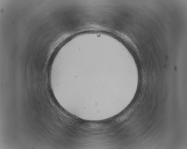 X0000061111318200512161403