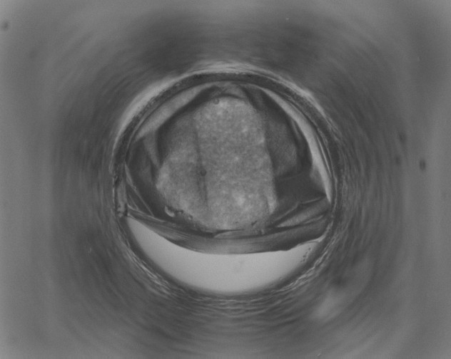 X0000061111319200512161403