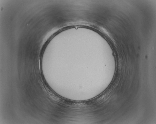 X0000061111320200512161403