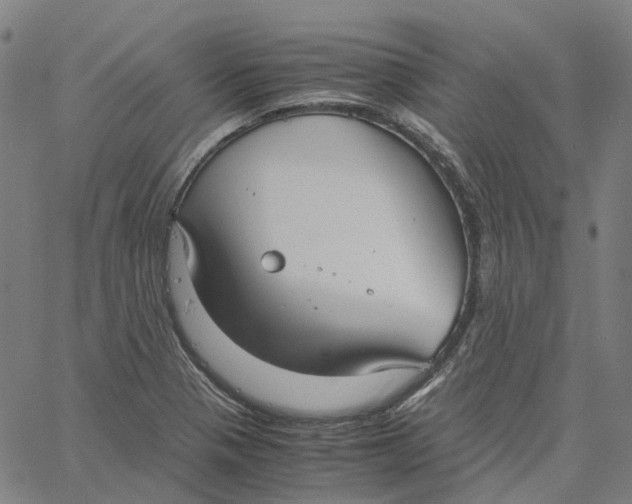 X0000061111321200512161403