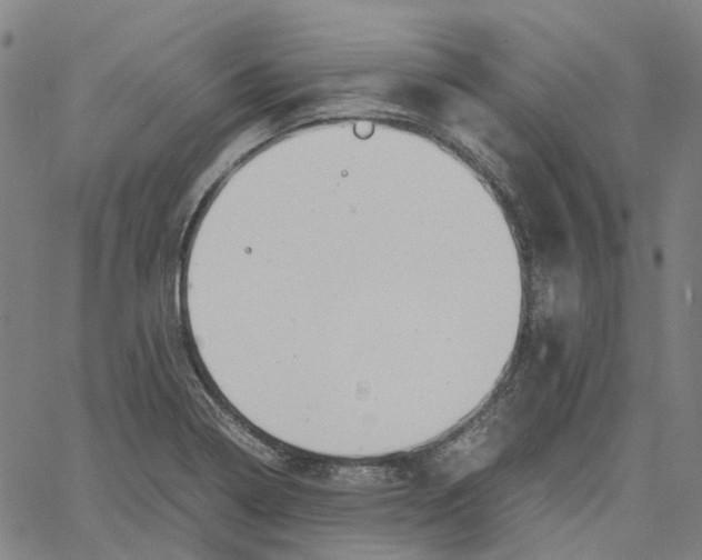 X0000061111322200512161403