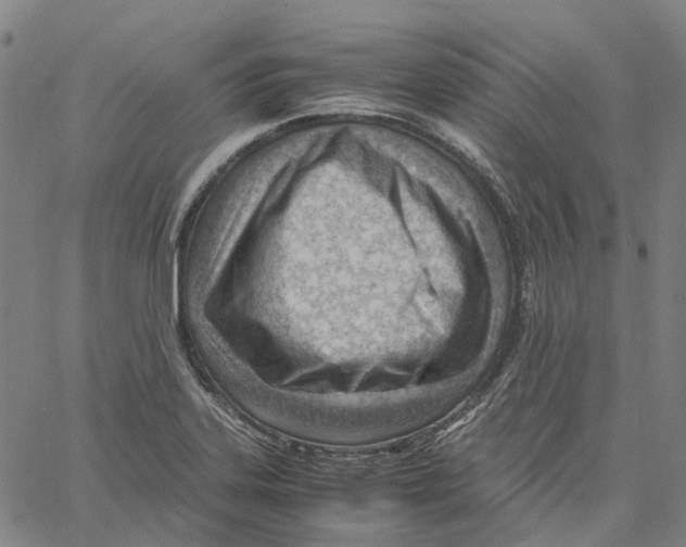 X0000061111323200512161403