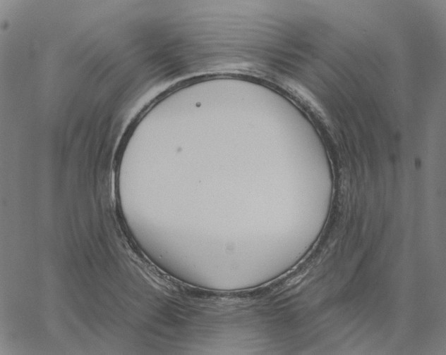 X0000061111324200512161403