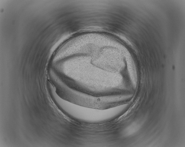 X0000061111325200512161403