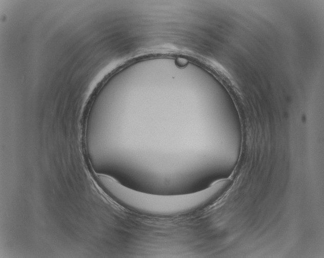 X0000061111326200512161403