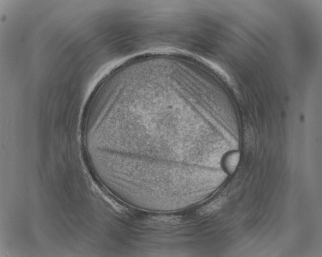 X0000061111327200512161403