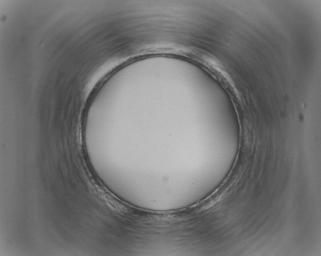 X0000061111328200512161403