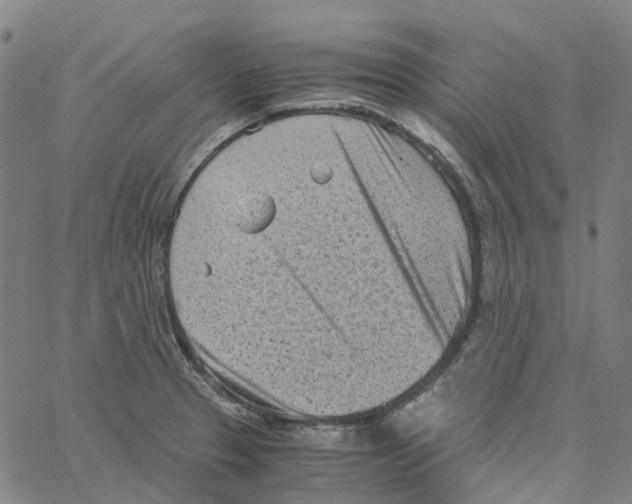 X0000061111329200512161404