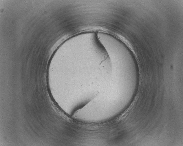 X0000061111330200512161404