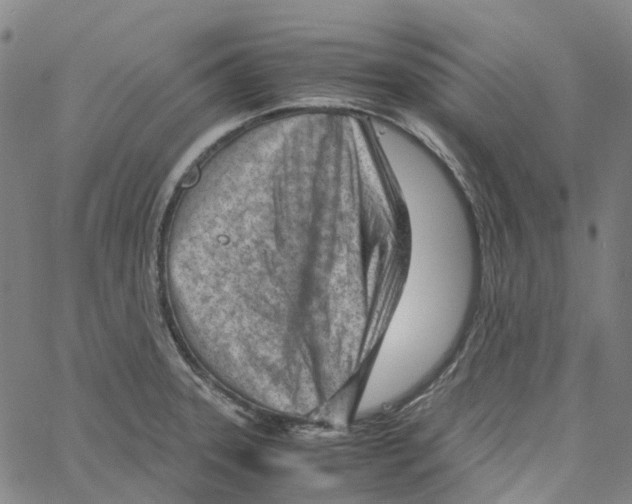 X0000061111331200512161404