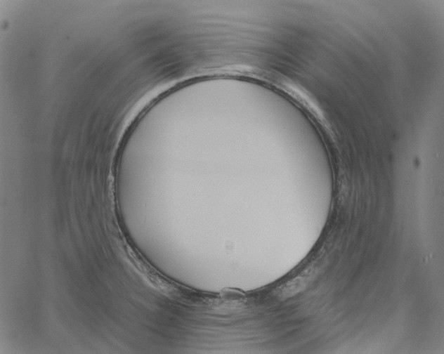 X0000061111332200512161404