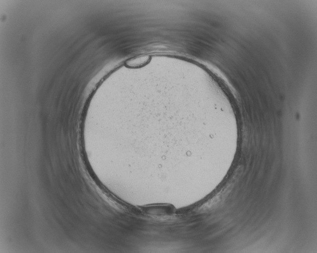 X0000061111333200512161404