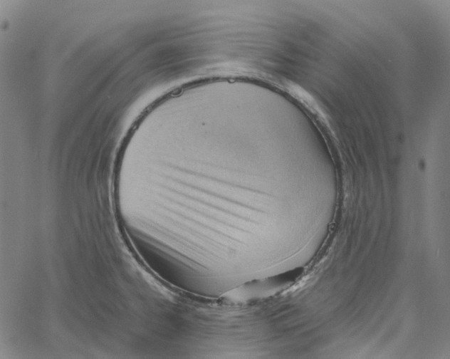 X0000061111334200512161404