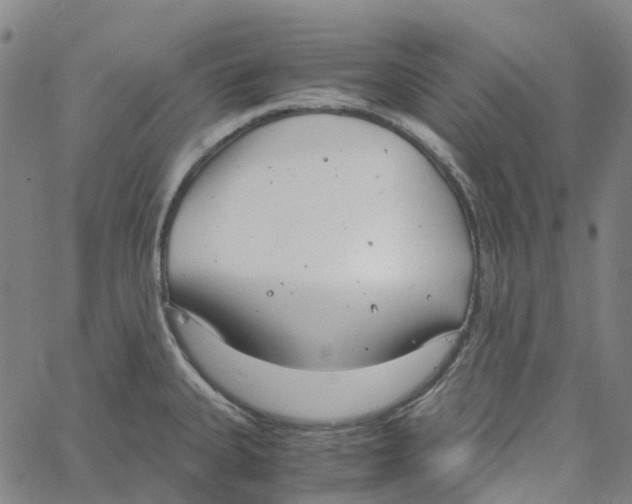 X0000061111335200512161404