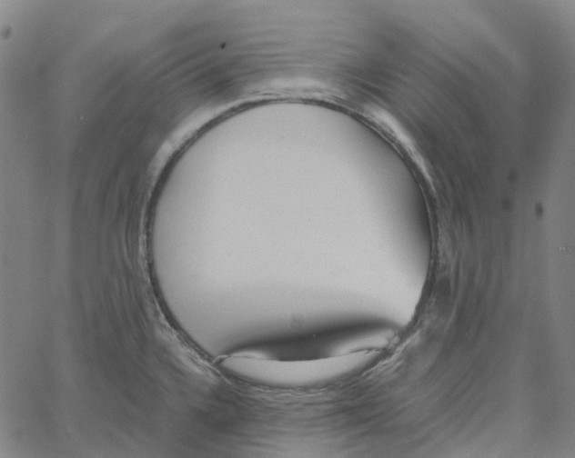 X0000061111336200512161404