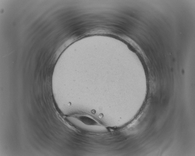 X0000061111337200512161404