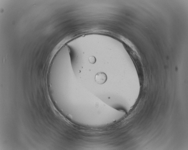 X0000061111338200512161404