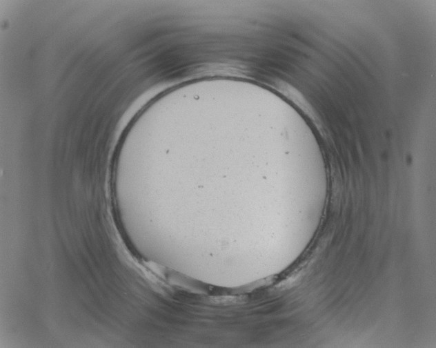 X0000061111339200512161404