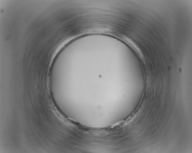 X0000061111340200512161404