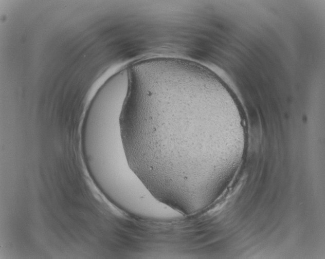 X0000061111341200512161404