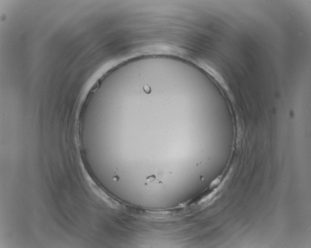 X0000061111342200512161404