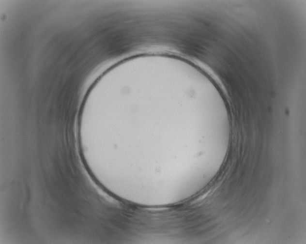 X0000061111343200512161404