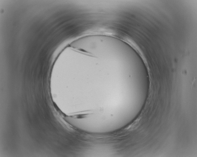 X0000061111344200512161404