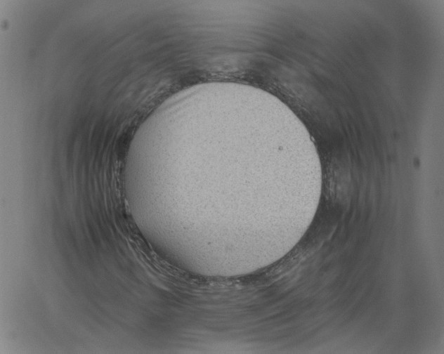 X0000061111346200512161403