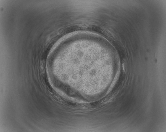 X0000061111347200512161403