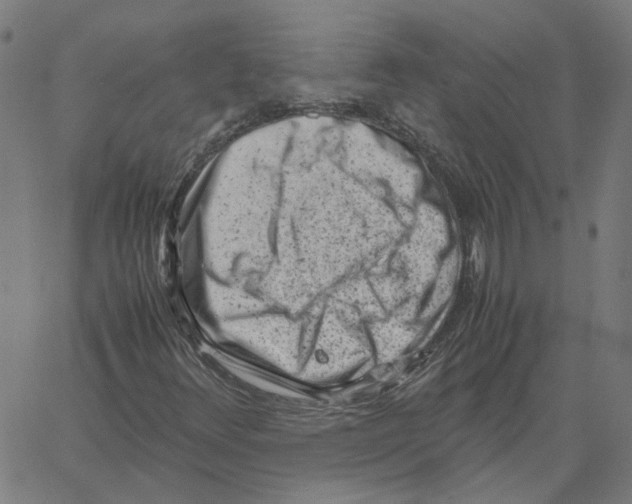 X0000061111348200512161403