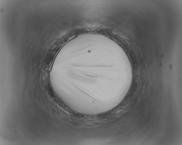 X0000061111349200512161403