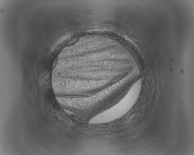 X0000061111351200512161403