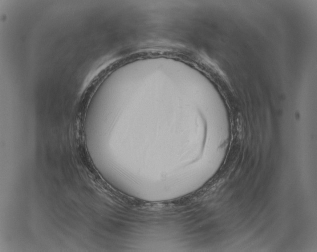 X0000061111352200512161403