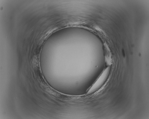 X0000061111353200512161403