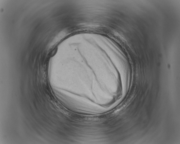 X0000061111354200512161403