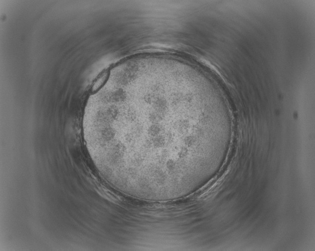 X0000061111355200512161403