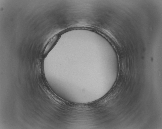 X0000061111356200512161403