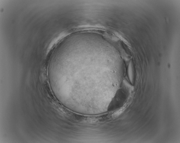 X0000061111357200512161403