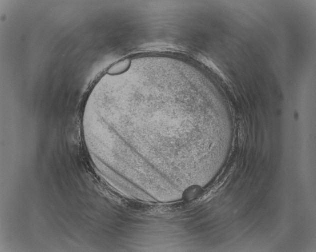 X0000061111358200512161403