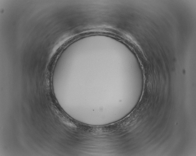 X0000061111360200512161403